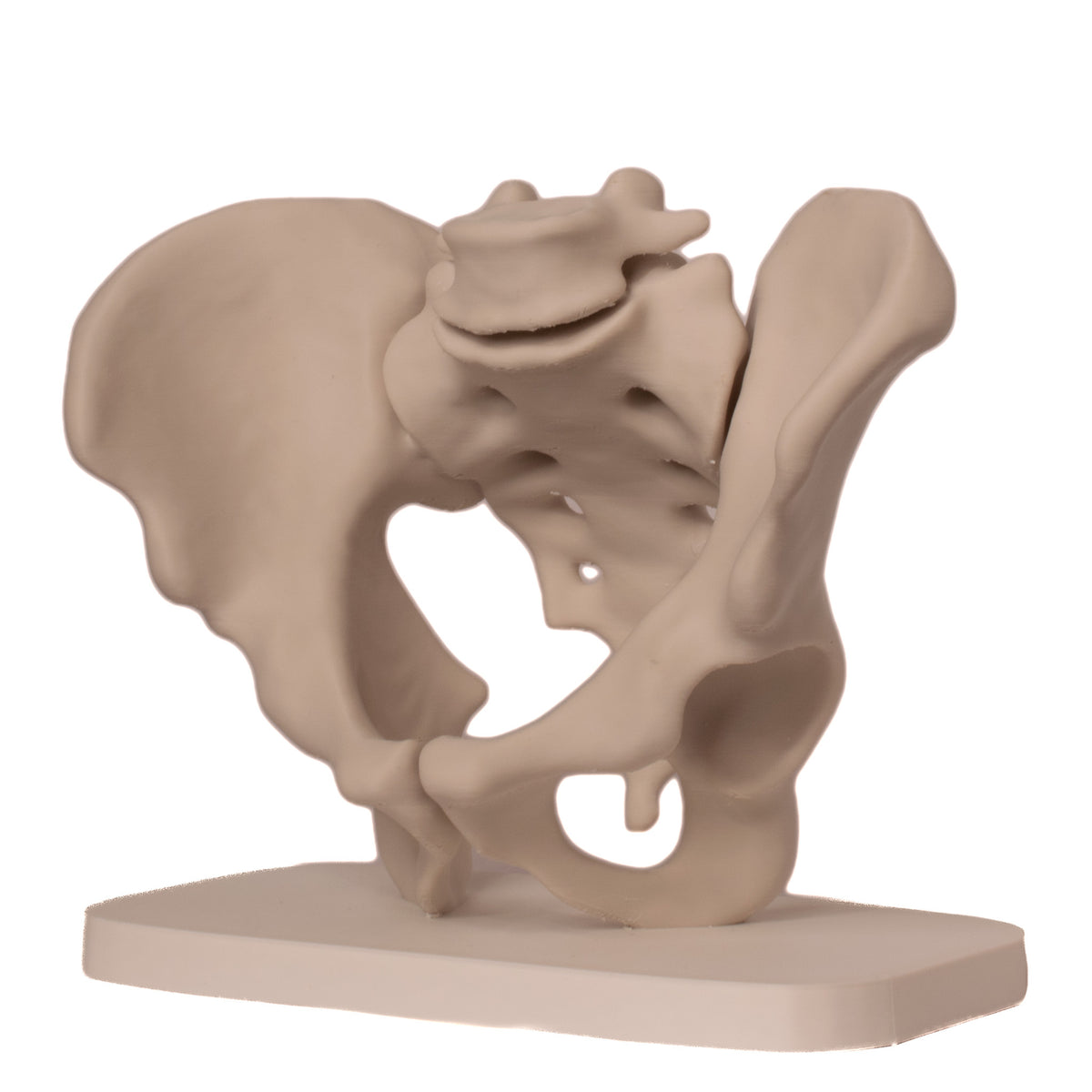 Anatomisk bekken