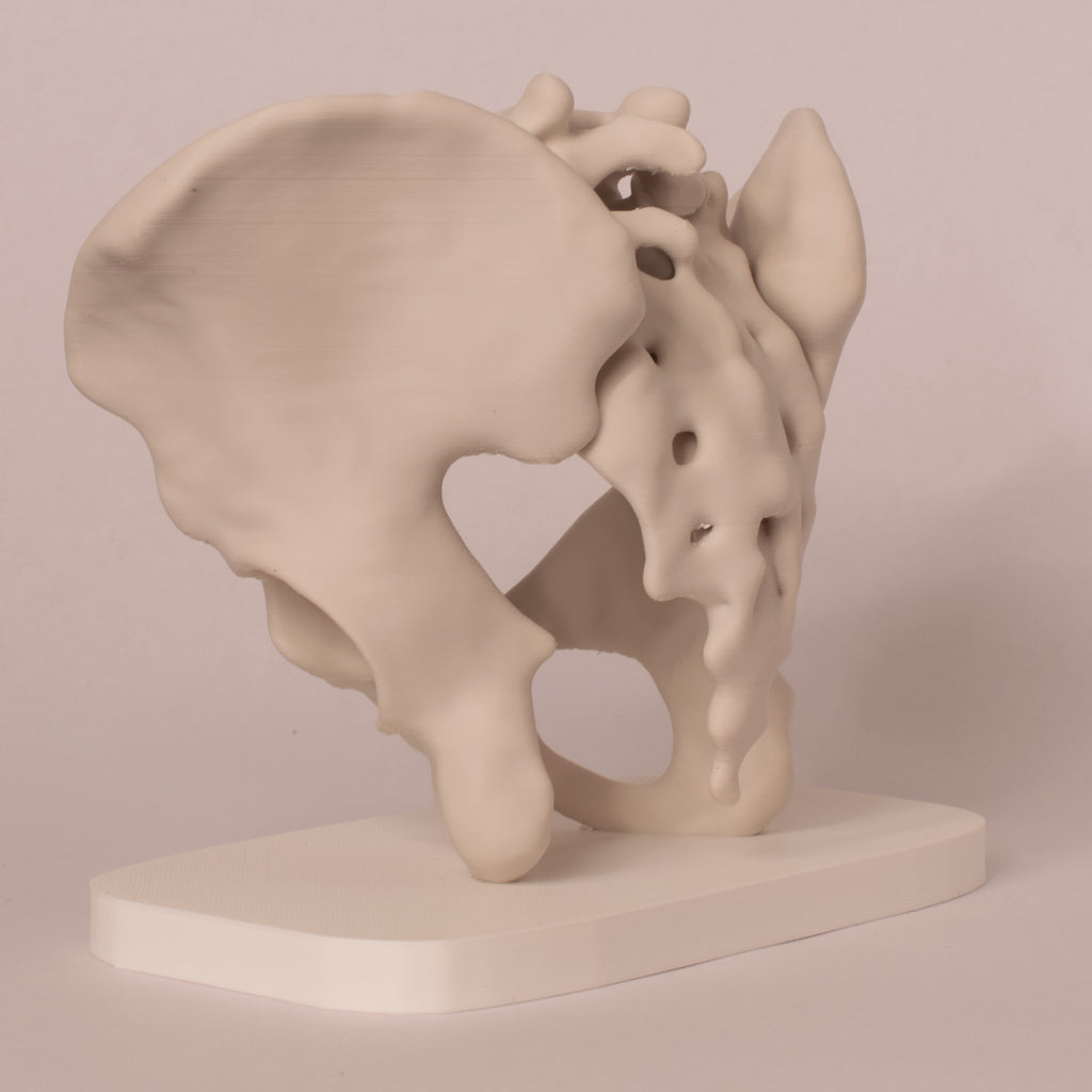 Anatomisk bekken