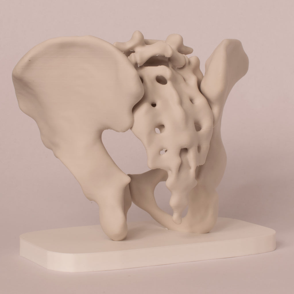 Anatomisk bekken