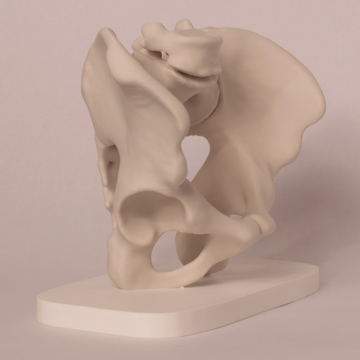Anatomisk bekken